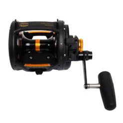 PENN Squall 50 VSW Lever Drag And Bluewater Carnage Game Combo 5ft 7in 24kg 1pc -Penn 1279859 d