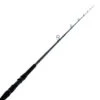 PENN Prevail II 1002OHXH Overhead Rock Rod 10ft 10-24kg 2pc