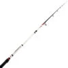PENN Squadron II Euro Spinning Surf Rod 14ft 113-170g 3pc