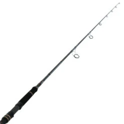 PENN Ocean Assassin 742MH Spinning Soft Bait Rod 7ft 4in PE2-4 2pc