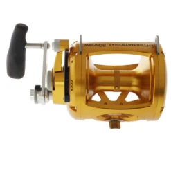 PENN International 80VISW 2-Speed Game Reel Gold -Penn 98941 7