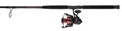 Penn FRCIII8000102H Fierce III Spinning Combo -Penn penn frciii8000102h fierce iii spinning combo 93197.1651244507