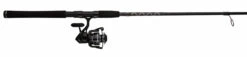 Penn PURIII6000701MH Pursuit III Spinning Combo -Penn penn puriii6000701mh pursuit iii spinning combo 99852.1651266676