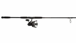 Penn PURIII8000701H Pursuit III Spinning Combo -Penn penn puriii8000701h pursuit iii spinning combo 85418.1650814867