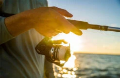 Penn Pursuit IV Spinning Reels -Penn penn pursuit iv spinning reels 56136.1656656295