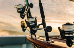 Penn Pursuit IV Spinning Reels -Penn penn pursuit iv spinning reels 61321.1656656295